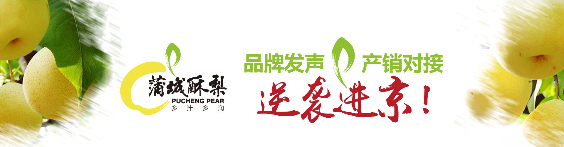 戰(zhàn)略賦能區(qū)域公用品牌，點亮區(qū)域經(jīng)濟