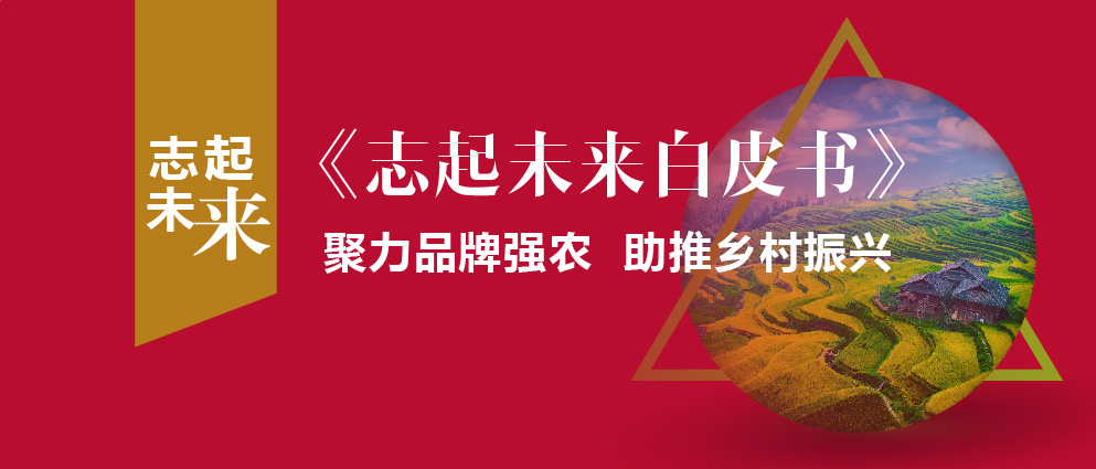 志起未來客戶:為何同福集團能成為鄉(xiāng)村振興的典范？